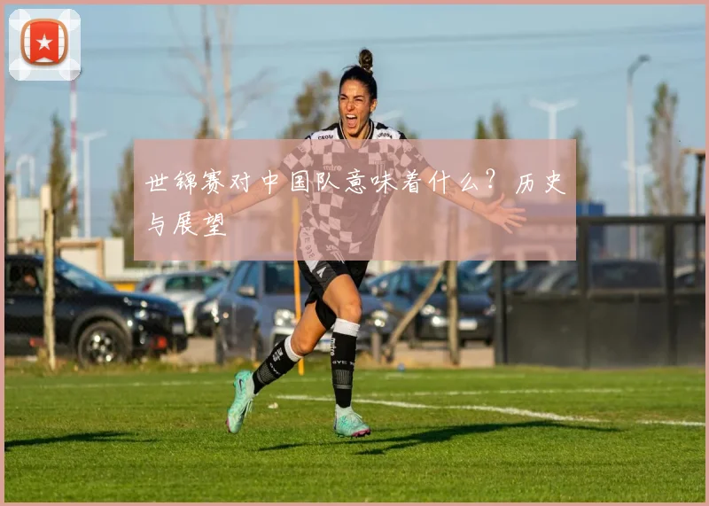 世锦赛对中国队意味着什么？历史与展望