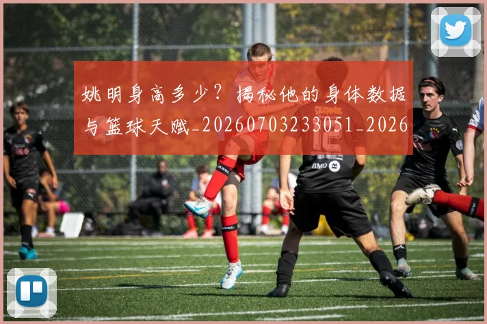 姚明身高多少？揭秘他的身体数据与篮球天赋_20260703233051_20260720192435