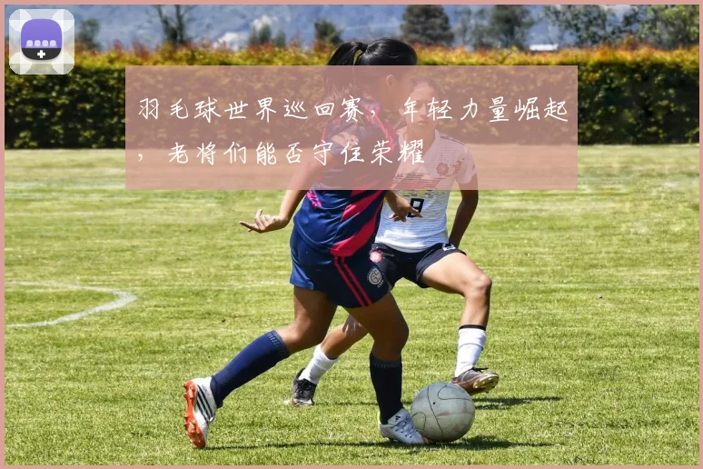 羽毛球世界巡回赛，年轻力量崛起，老将们能否守住荣耀