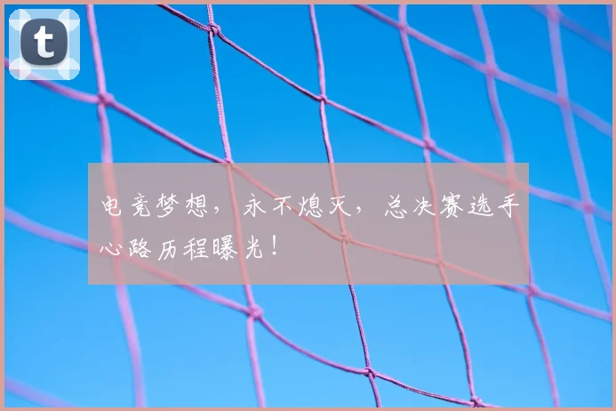 电竞梦想，永不熄灭，总决赛选手心路历程曝光！