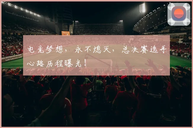电竞梦想，永不熄灭，总决赛选手心路历程曝光！
